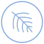 Serenoa Repens icona