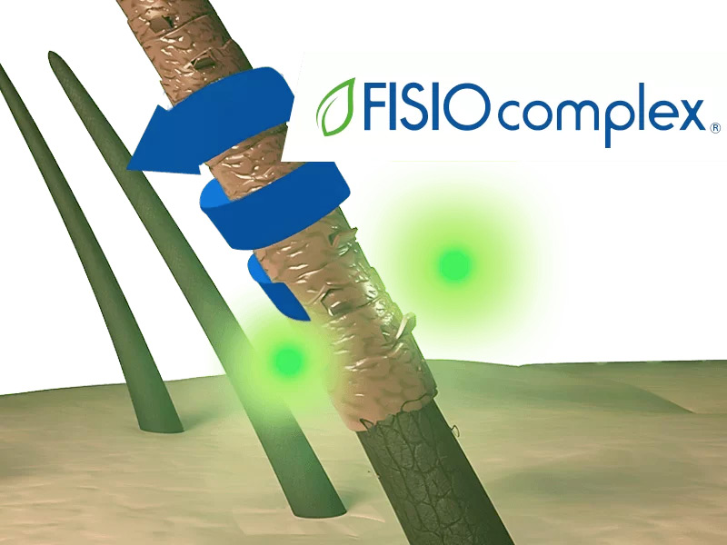 FisioComplex_Scien3