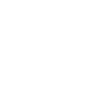 Obiettivi prefissati trapianto