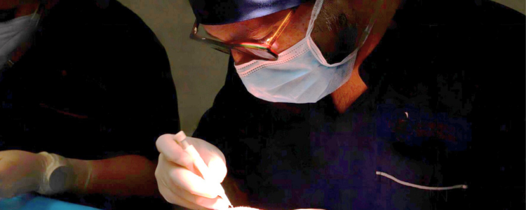 Webinar Tutto sul trapianto capelli: chiedi al chirurgo